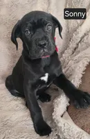 processed/6fd97ab2-f753-41ed-8d99-3faa2b13da1b/listing/f14b5b83-7734-4c87-9361-0e837f60df1e/663901d7-ed7b-4931-93ec-8382bb39ede6