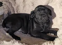 processed/6fd97ab2-f753-41ed-8d99-3faa2b13da1b/listing/f69c3145-e5d7-4811-9212-f658486f3faf/3b5d3f2c-62a3-4a8c-a667-b31a0af16021