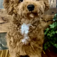 processed/6fdb7c83-c53a-407f-9b41-c27a9694ad86/facility/17c4bf05-1df9-422a-a1d2-48f1453c7298