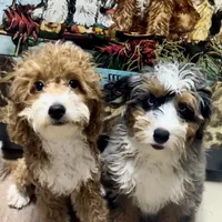 processed/6fdb7c83-c53a-407f-9b41-c27a9694ad86/facility/1e2fd45a-a9da-4369-8818-f255ba1e9f14