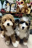 processed/6fdb7c83-c53a-407f-9b41-c27a9694ad86/facility/1e2fd45a-a9da-4369-8818-f255ba1e9f14