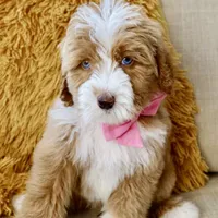 processed/6fdb7c83-c53a-407f-9b41-c27a9694ad86/facility/5711c4a5-a6de-4c7d-94a7-dbad0eb02193