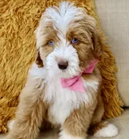 processed/6fdb7c83-c53a-407f-9b41-c27a9694ad86/facility/5711c4a5-a6de-4c7d-94a7-dbad0eb02193