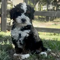 processed/6fdb7c83-c53a-407f-9b41-c27a9694ad86/facility/5de316e5-85ca-4dea-9351-b85279a1c45d