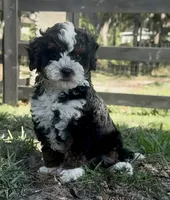 processed/6fdb7c83-c53a-407f-9b41-c27a9694ad86/facility/5de316e5-85ca-4dea-9351-b85279a1c45d