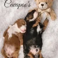 processed/6fdb7c83-c53a-407f-9b41-c27a9694ad86/facility/689ecaed-07ca-44aa-b470-7922091393c6