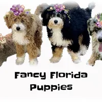 processed/6fdb7c83-c53a-407f-9b41-c27a9694ad86/facility/7bec80a9-7d0d-4c97-9aa3-57584eede5cc