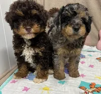 processed/6fdb7c83-c53a-407f-9b41-c27a9694ad86/facility/82f41743-0a6e-490e-958b-114674532125