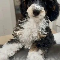 processed/6fdb7c83-c53a-407f-9b41-c27a9694ad86/facility/cfd49fa1-8b70-43c3-9d91-5eb796fef6a1