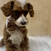 processed/6fdb7c83-c53a-407f-9b41-c27a9694ad86/facility/f8772540-12f6-40e6-90dd-aacf4ce6b455