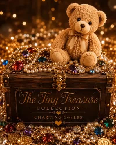 The treasure collection, a female Poodle - Toy  for sale in Ocala, FL – 3 of 4