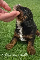 processed/6fdb7c83-c53a-407f-9b41-c27a9694ad86/listing/ac5a76cf-2663-4cba-87ed-5f29dc2947b0/ea0def00-3622-45bc-896a-f6d330196f1d