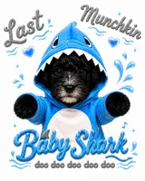 Munchkin ♥️ Baby Shark 🦈 , a male Miniature Bernedoodle for sale in Ocala, FL – 5 of 8