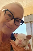 Quasimoto, a male French Bulldog for sale in Lompoc, CA – 4 of 10