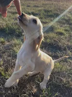 processed/6ff0712f-b6f6-46f4-a4b7-fc4409815709/listing/363a154b-a9a0-42b0-bf64-ac705352a755/18abb577-e03f-4ec7-a50e-fec3d7eb13a3