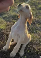 processed/6ff0712f-b6f6-46f4-a4b7-fc4409815709/listing/363a154b-a9a0-42b0-bf64-ac705352a755/19b75098-b7c9-42c5-a6c0-c6e38956997b