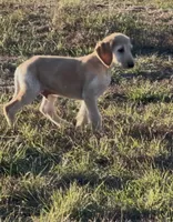 processed/6ff0712f-b6f6-46f4-a4b7-fc4409815709/listing/363a154b-a9a0-42b0-bf64-ac705352a755/23dae46b-b440-4bc1-9fbe-2921c855de44