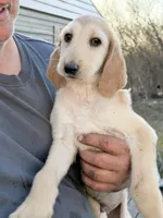 processed/6ff0712f-b6f6-46f4-a4b7-fc4409815709/listing/363a154b-a9a0-42b0-bf64-ac705352a755/437c2043-05f0-49aa-ad3b-99b18f258e62