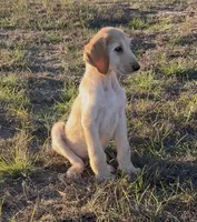 processed/6ff0712f-b6f6-46f4-a4b7-fc4409815709/listing/363a154b-a9a0-42b0-bf64-ac705352a755/83e93125-900a-46af-a40e-9309f20c2ecf