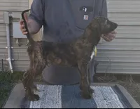 processed/6ff0712f-b6f6-46f4-a4b7-fc4409815709/listing/3dc83f0f-7435-4129-ba0e-d7cdd08919bb/52fc2639-93b8-4e99-a013-26e7e6dd3ad6