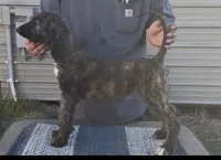 processed/6ff0712f-b6f6-46f4-a4b7-fc4409815709/listing/3dc83f0f-7435-4129-ba0e-d7cdd08919bb/69d1bd67-f177-4354-b6ad-e1e0e0ec93f8