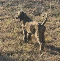 processed/6ff0712f-b6f6-46f4-a4b7-fc4409815709/listing/3dc83f0f-7435-4129-ba0e-d7cdd08919bb/a57ea757-0d9a-46b6-a209-146d468377e5