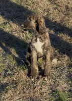 processed/6ff0712f-b6f6-46f4-a4b7-fc4409815709/listing/3dc83f0f-7435-4129-ba0e-d7cdd08919bb/bd839357-13ae-4511-8e41-eb34720b22e3