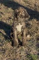 processed/6ff0712f-b6f6-46f4-a4b7-fc4409815709/listing/3dc83f0f-7435-4129-ba0e-d7cdd08919bb/e005c3ff-41d4-459b-98c0-8f92117ef321