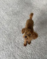 processed/6ff23a90-37f4-4337-baae-45ca340d761e/listing/0ecd02d1-cd81-4563-9f10-de3180cbfab5/b08feb4d-df6b-46bb-bd31-5ca345216975