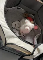 Princess , a female Yorkshire Terrier for sale in Houston, TX – Photo 4 of 6