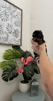  Tcup Everleigh  , a female Yorkshire Terrier for sale in Houston, TX – 9 of 10