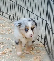 processed/7008890f-bc47-42ab-930d-87ad6563089e/listing/0f3df449-3808-4fb9-aff7-29187dedd904/009ebf7b-fb3a-4e24-9a9f-4e9c60b160fc