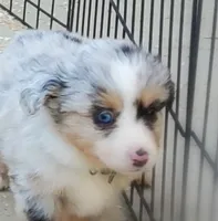 processed/7008890f-bc47-42ab-930d-87ad6563089e/listing/0f3df449-3808-4fb9-aff7-29187dedd904/79c673c0-7851-4537-8fe7-892985e217a9