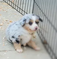 processed/7008890f-bc47-42ab-930d-87ad6563089e/listing/0f3df449-3808-4fb9-aff7-29187dedd904/c95ae2a2-866f-4f4a-9dd3-b4ec1902c5fe