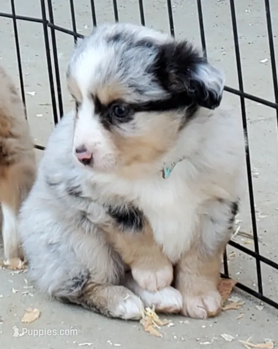 processed/7008890f-bc47-42ab-930d-87ad6563089e/listing/0f3df449-3808-4fb9-aff7-29187dedd904/f391b139-506b-4abc-8fc3-656449c89b5b