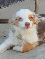 processed/7008890f-bc47-42ab-930d-87ad6563089e/listing/0f61d9d4-7548-43bf-b8d1-c6444ad5700b/2fb70628-5d56-490c-ba1b-9c29863de1b1