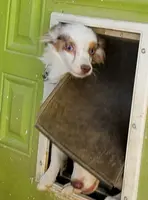 processed/7008890f-bc47-42ab-930d-87ad6563089e/listing/0f61d9d4-7548-43bf-b8d1-c6444ad5700b/336bb1b2-daa4-4936-8970-cfb1ed93e47c