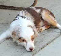 processed/7008890f-bc47-42ab-930d-87ad6563089e/listing/0f61d9d4-7548-43bf-b8d1-c6444ad5700b/6aa1062d-9d45-44fd-b3f6-7ce3c3af84ac