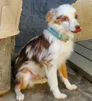 processed/7008890f-bc47-42ab-930d-87ad6563089e/listing/0f61d9d4-7548-43bf-b8d1-c6444ad5700b/7afcffb9-3423-4e28-91c6-a94f68ae44ae