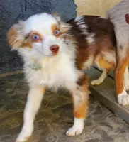 processed/7008890f-bc47-42ab-930d-87ad6563089e/listing/0f61d9d4-7548-43bf-b8d1-c6444ad5700b/85112fed-c360-488b-95e3-eccbd701c768