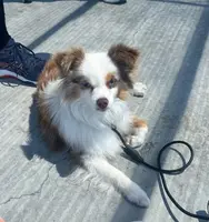 processed/7008890f-bc47-42ab-930d-87ad6563089e/listing/0f61d9d4-7548-43bf-b8d1-c6444ad5700b/de1fbd91-5148-4d6d-b1ba-5ef5b90690f5