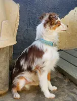 processed/7008890f-bc47-42ab-930d-87ad6563089e/listing/0f61d9d4-7548-43bf-b8d1-c6444ad5700b/ea3f68dc-63a1-4a9e-a3e4-8ed4b663d10e