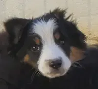 processed/7008890f-bc47-42ab-930d-87ad6563089e/listing/1dd65e8f-5dbd-476b-bb07-6c8a6a1b6b26/04d10ea4-4eb6-4bfb-898b-b669a9752b26