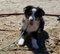 processed/7008890f-bc47-42ab-930d-87ad6563089e/listing/1dd65e8f-5dbd-476b-bb07-6c8a6a1b6b26/4124a3e5-3544-46ec-8346-1e850487fbff