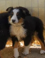 processed/7008890f-bc47-42ab-930d-87ad6563089e/listing/1dd65e8f-5dbd-476b-bb07-6c8a6a1b6b26/93cd7c48-916e-4eaf-966e-202ce3c9ff0a