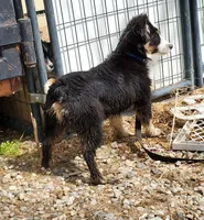 processed/7008890f-bc47-42ab-930d-87ad6563089e/listing/1dd65e8f-5dbd-476b-bb07-6c8a6a1b6b26/beace75b-f0d5-4c36-8724-27ac9385db49