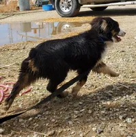 processed/7008890f-bc47-42ab-930d-87ad6563089e/listing/1dd65e8f-5dbd-476b-bb07-6c8a6a1b6b26/f4b5c0ec-28eb-4c4f-bf0c-2094d5755051