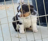 processed/7008890f-bc47-42ab-930d-87ad6563089e/listing/700ef819-67af-44ee-a514-d31b5e2cd677/139e745f-eeb5-4260-997d-d6be69ab26ad