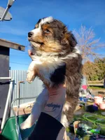 processed/7008890f-bc47-42ab-930d-87ad6563089e/listing/700ef819-67af-44ee-a514-d31b5e2cd677/26a87841-61fb-4ae9-b27d-af5849ea9d77