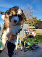 processed/7008890f-bc47-42ab-930d-87ad6563089e/listing/700ef819-67af-44ee-a514-d31b5e2cd677/68510d9b-2308-4d42-9942-9bd23f70376e